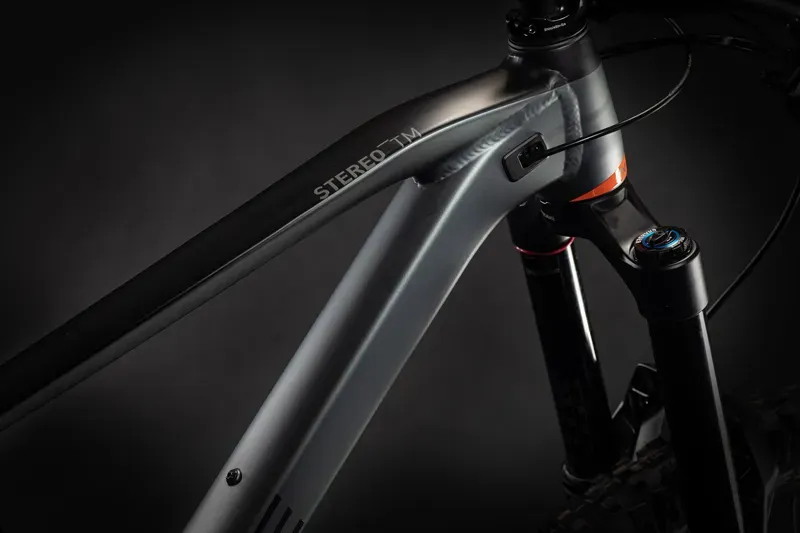 2021 Cube Stereo 170 TM 29 Mountain Bike in Grey-5