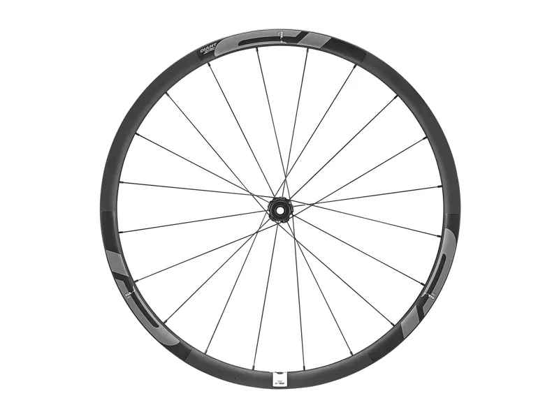 2017 Giant SL 1 Disc CenterLock Front Wheel in Black
